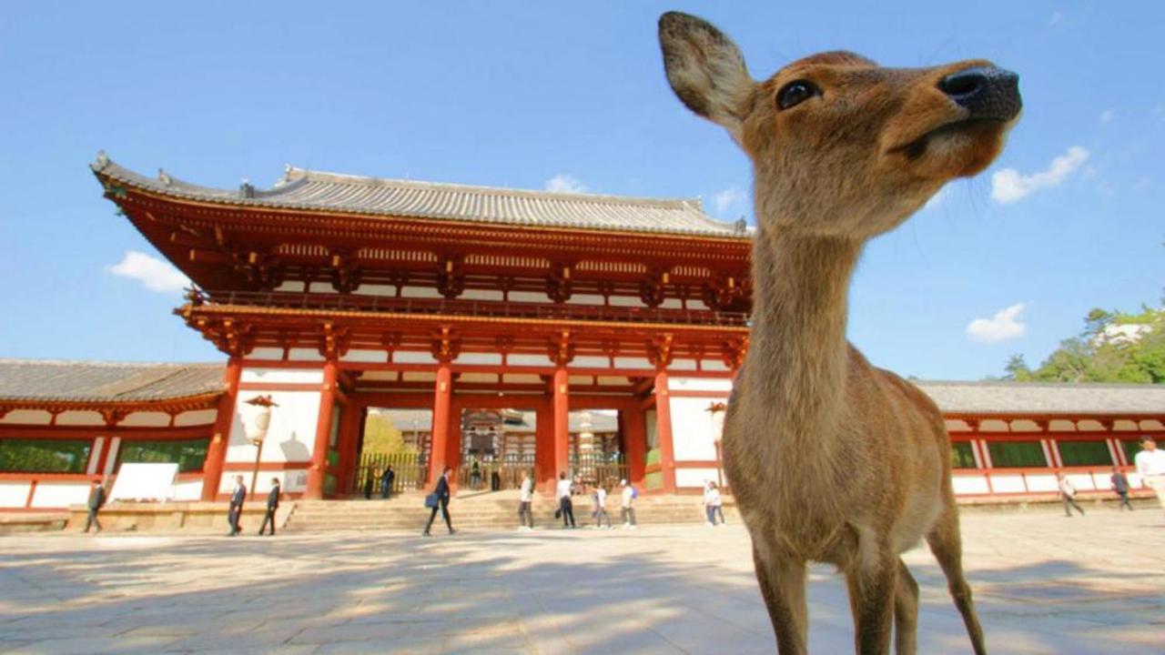 中川西 地下鉄今里駅一戸建 Samurai House Guest House Imazato 難波直通 最大7名 Osaka Luaran gambar